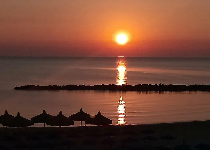 Appartement Alba Rosa